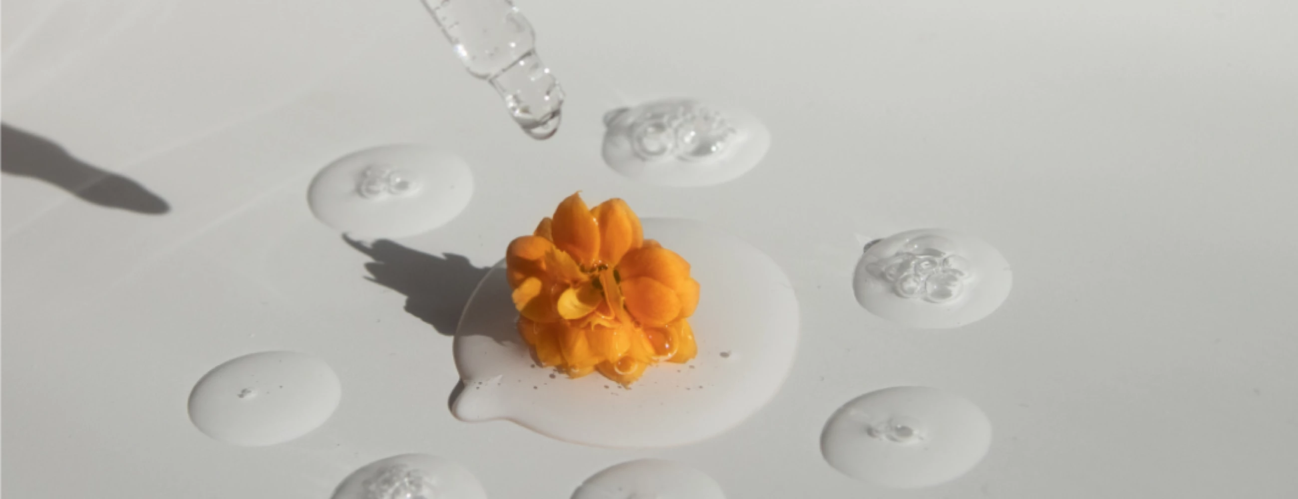 Normali livelli di colesterolo